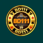 BD111 Game