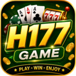 H177 Game